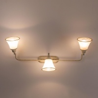 Спот Citilux CL511534