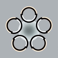 Накладная люстра LUMION 8027/55CL
