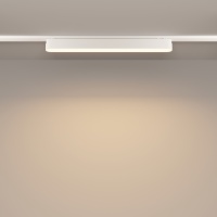 Трековый светильник Technical TR080-1-18W3K-W