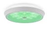 Потолочный светильник Freya FR10012CL-L24W