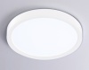 Накладной светильник Ambrella Light FZ1901