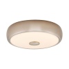 Накладной светильник Citilux CL706321