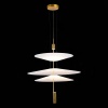 Подвесной светильник ST-Luce SL6101.223.01