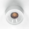 Накладной светильник Citilux CL743090N