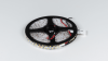 SWG PRO Светодиодная лента SWG PRO 3528, 120 LED/м, 9,6 Вт/м, 24В , IP20, Цвет: Холодный белый, SWG3PT120-24-9.6-W