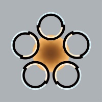 Накладная люстра LUMION 8027/55CL