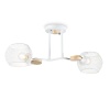 Накладной светильник Ambrella Light TR80161