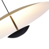 Подвесной светильник ST-Luce SL6502.213.01