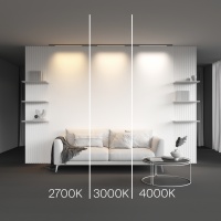 Трековый светильник Technical TR190-1-10W2.7K-B