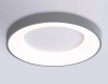 Накладной светильник Ambrella Light FZ1402