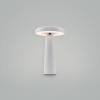 Аккумуляторный светильник Freya FR6109TL-L4W