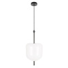 Подвесной светильник LOFT IT 10223/D White