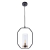Подвесной светильник ARTE Lamp A7004SP-1BK