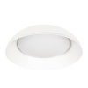 Накладной светильник LOFT IT 10229 White