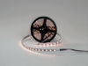 SWG Standard Светодиодная лента 5050, 60 LED/м, 19,2 Вт/м, 24В , IP20, Цвет: RGB + нейтральный белый, SWG560-24-19.2-RGB+NW-M