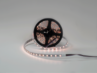 SWG Standard Светодиодная лента 5050, 60 LED/м, 19,2 Вт/м, 24В , IP20, Цвет: RGB + нейтральный белый, SWG560-24-19.2-RGB+NW-M