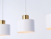 Подвесной светильник Ambrella Light TR8117