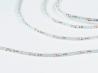 SWG Standard Светодиодная лента  3528, 60 LED/м, 4,8 Вт/м, 12В , IP20, Цвет: Холодный белый, SWG360-12-4.8-W-M
