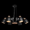 Подвесная люстра LOFT IT LOFT4402/6BL