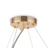 Подвесная люстра Maytoni DIA201PL-08G