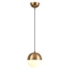 Подвесной светильник Odeon Light 4960/1
