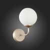 Evoluce SLE106201-01