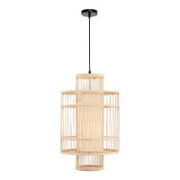 Подвесная люстра ST-Luce SL6241.523.01