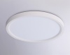 Накладной светильник Ambrella Light FZ1903