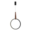Подвесной светильник ST-Luce SL6131.403.20