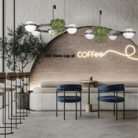 Подвесной светильник LOFT IT 10121/2 Dark grey