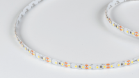 DesignLed Светодиодная лента IP33 холодного белого свечения, DSG3120-12-W-33