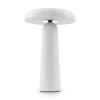 Аккумуляторный светильник Freya FR6109TL-L4W