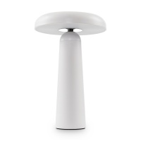 Аккумуляторный светильник Freya FR6109TL-L4W