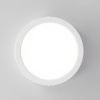 Накладной светильник Citilux CL5516N