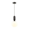 Подвесной светильник Odeon Light 4668/1