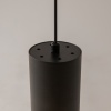 Подвесной светильник Maytoni P100PL-20W3K-B