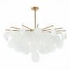 Люстра на штанге ST-Luce SL1231.302.08