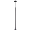 Подвесной светильник Odeon Light 3884/1B