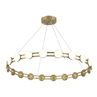 Подвесная люстра ST-Luce SL6610.203.20