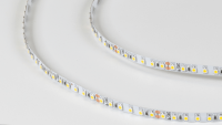 SWG Standard Светодиодная лента 3528, 120 LED/м, 9,6 Вт/м, 24В , IP20, Цвет: Нейтральный белый, SWG3120-24-9.6-NW-M