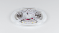 DesignLed Светодиодная лента LUX, 5050, 60 LED/м, 14,4 Вт/м, 24В, IP33, Холодный белый (6000K), DSG560-24-W-33