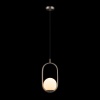 Подвесной светильник LOFT IT LOFT2595-B
