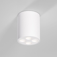Накладной светильник Elektrostandard 25111/LED 7W 4000K белый
