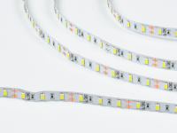 SWG Standard Светодиодная лента  5630, 60 LED/м, 12 Вт/м, 12В , IP20, Цвет: Холодный белый, SWG660-12-12-W-M