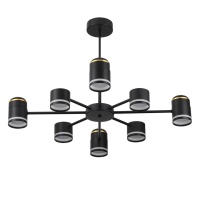 Люстра на штанге LUMION 8234/8C
