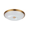 Накладной светильник Odeon Light 4956/5