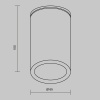 Потолочный светильник Outdoor O307CL-01B