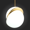 Подвесной светильник ST-Luce SL1164.313.01