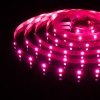 Лента Elektrostandard 5050/30 LED 7.2W IP20 [белая подложка] мультиколор