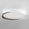 Накладной светильник Citilux CL754350G